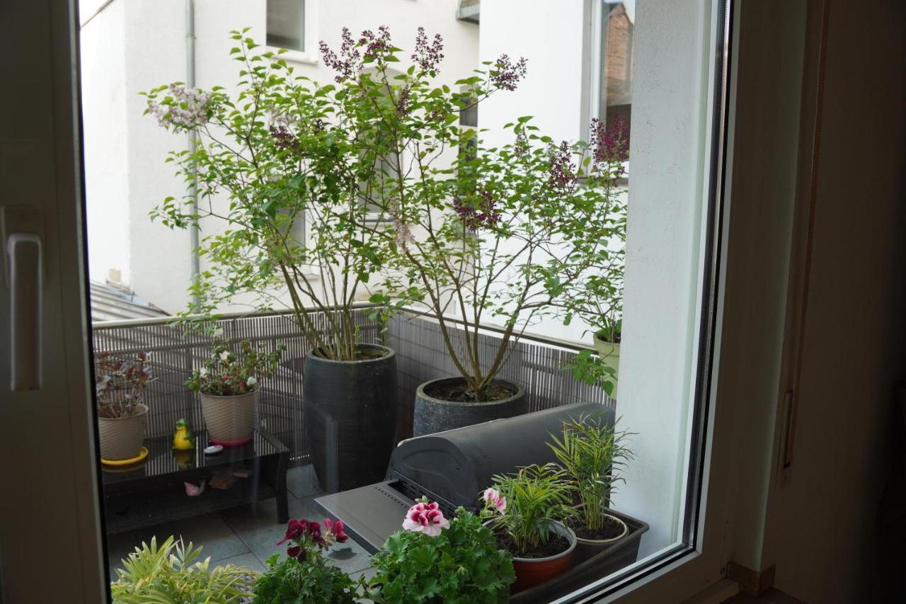 Bright, Spacious Apartment With A Lovely Terrace In The Heart Of Aquisgrán Exterior foto